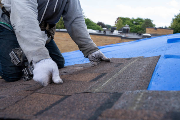 Roof Gutter Cleaning in Prairie Village, KS